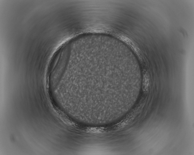 X0000111460680200908241320