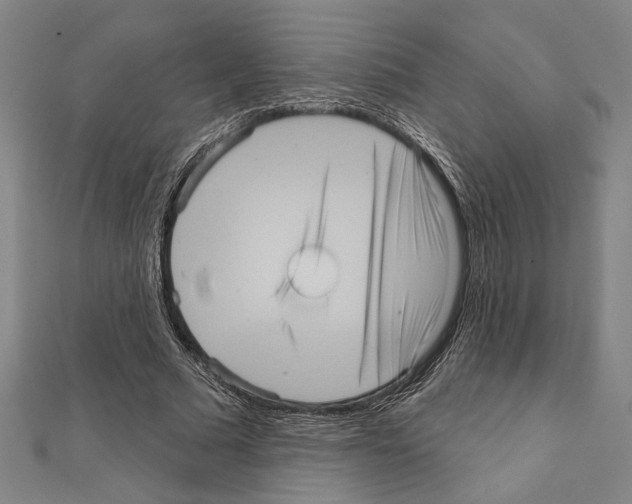 X0000111460681200908241320