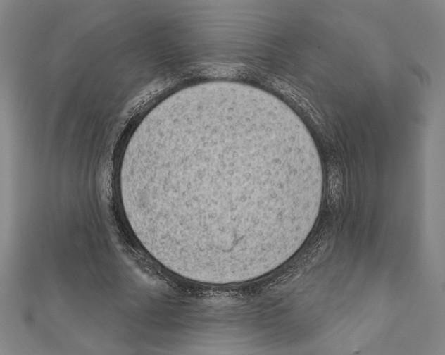 X0000111460682200908241320