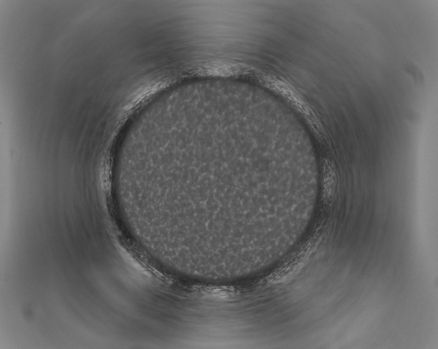 X0000111460683200908241320