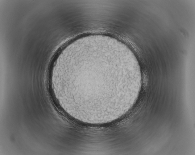 X0000111460684200908241320