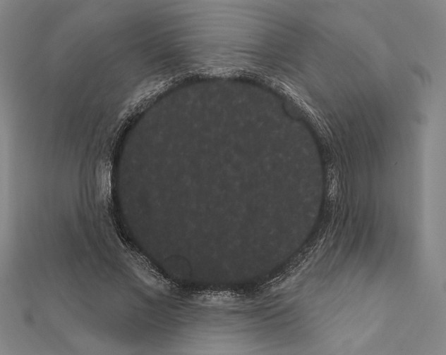 X0000111460685200908241320