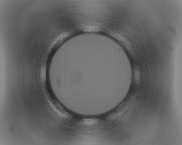 X0000111460686200908241320
