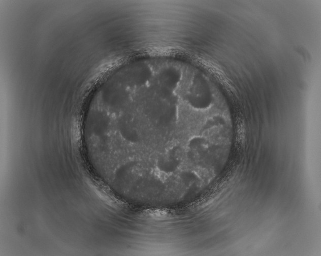 X0000111460687200908241320