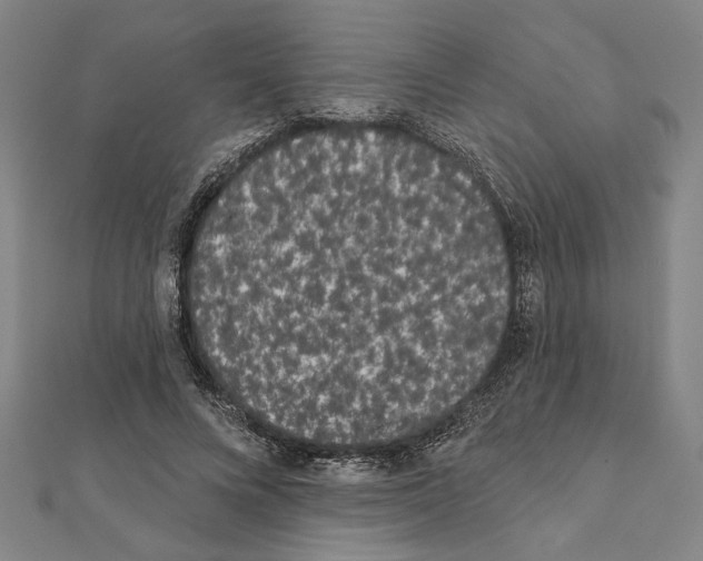 X0000111460688200908241320