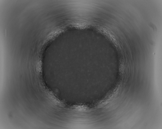 X0000111460689200908241320