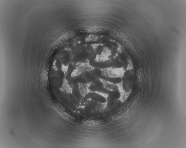 X0000111460691200908241320