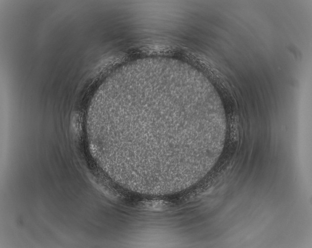 X0000111460695200908241320