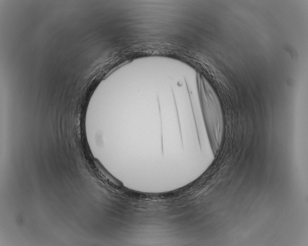 X0000111460696200908241320
