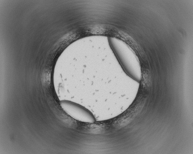 X0000111460697200908241319