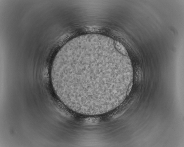 X0000111460700200908241319