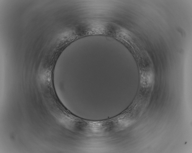 X0000111460701200908241319