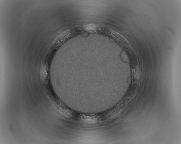 X0000111460702200908241319