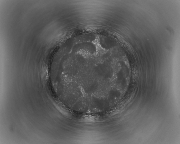 X0000111460703200908241319