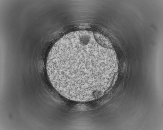 X0000111460704200908241319