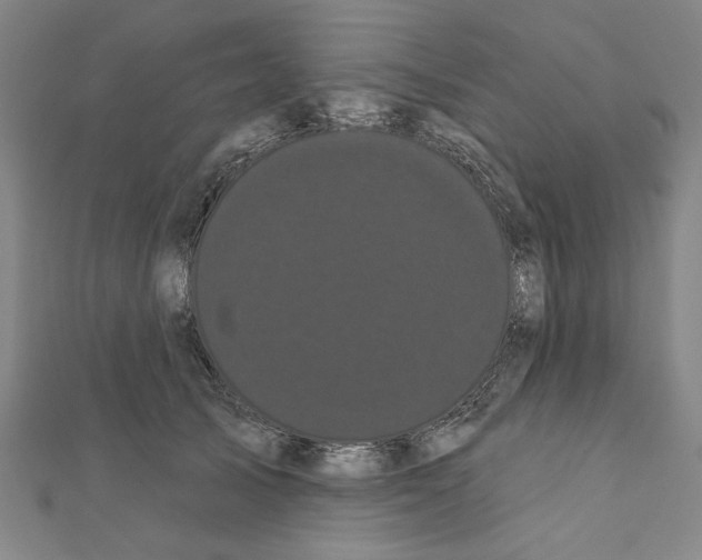 X0000111460705200908241319