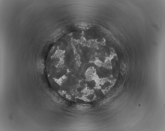 X0000111460707200908241319