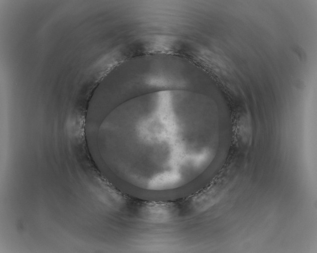 X0000111460708200908241319