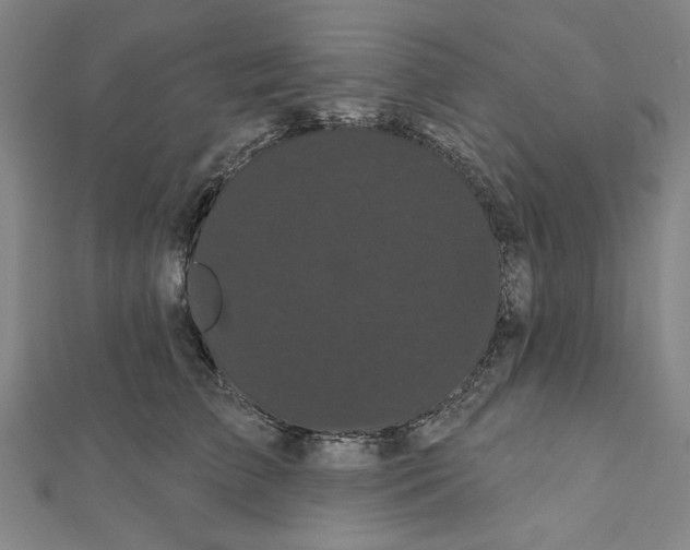 X0000111460709200908241319