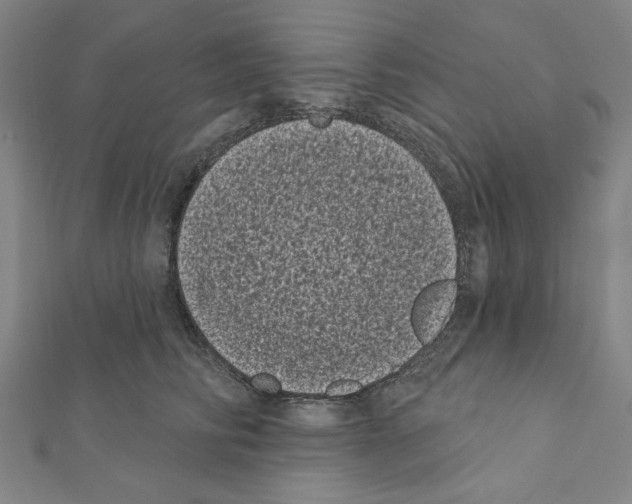 X0000111460710200908241319