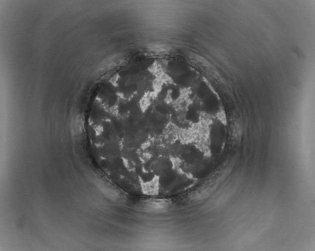 X0000111460711200908241319