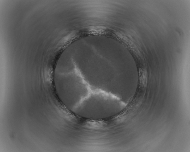 X0000111460712200908241319
