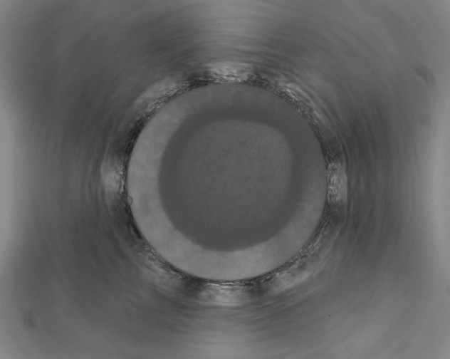 X0000111460713200908241319