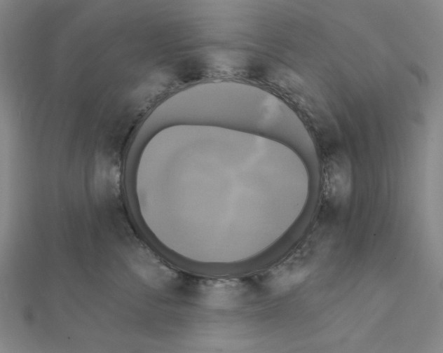 X0000111460716200908241319