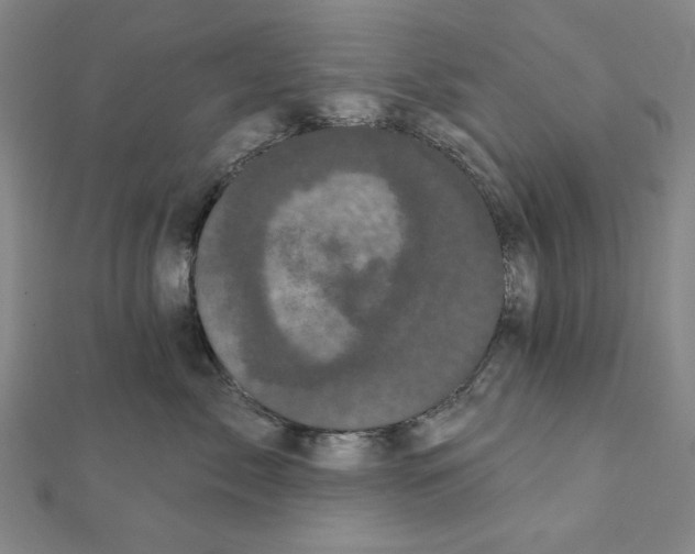 X0000111460717200908241319
