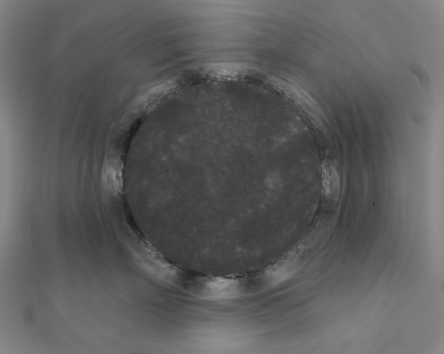 X0000111460718200908241319