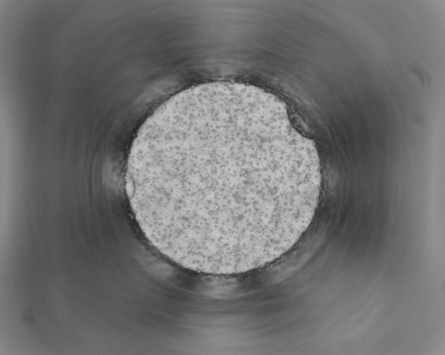 X0000111460719200908241319
