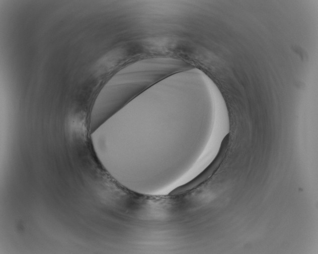 X0000111460720200908241319