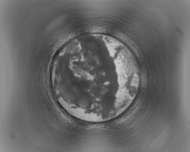 X0000111460721200908241319