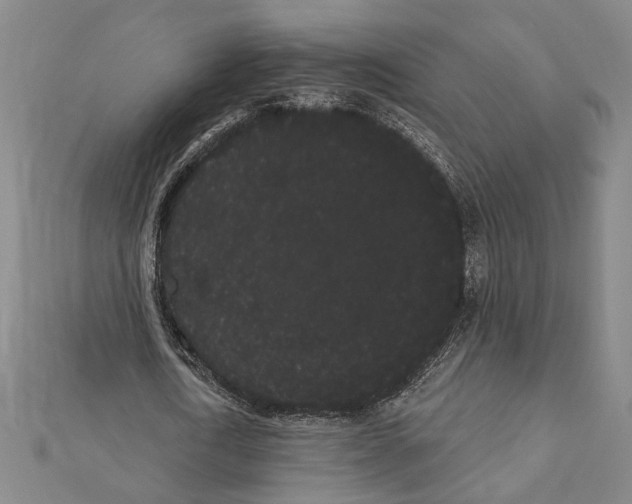 X0000111460722200908241319