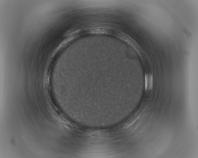 X0000111460723200908241319