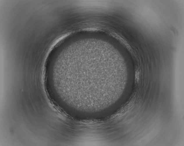 X0000111460724200908241319