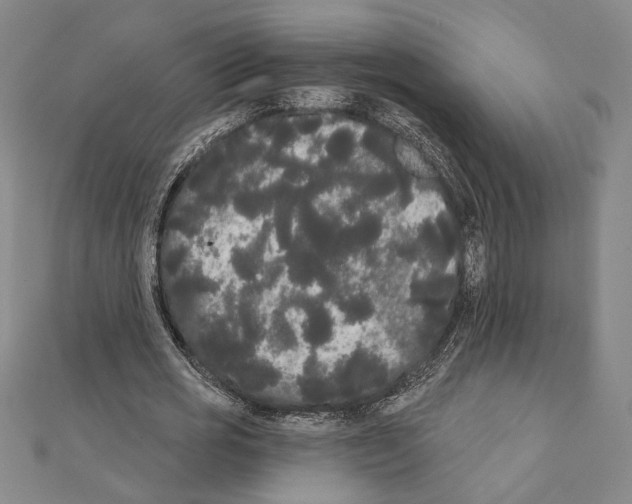 X0000111460725200908241319