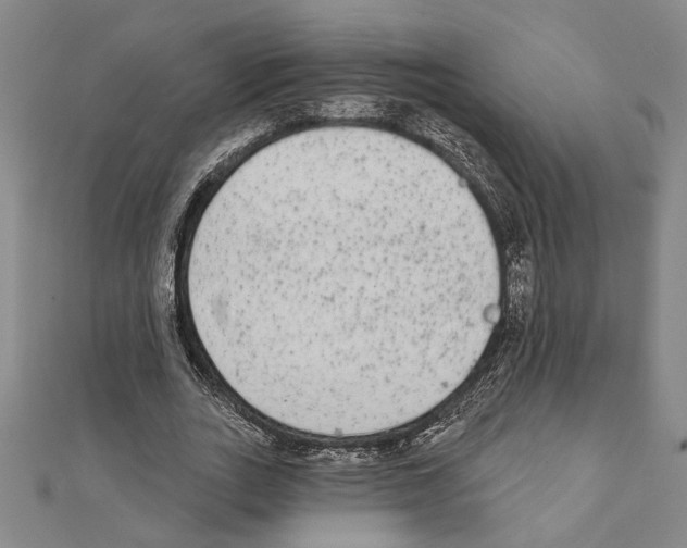 X0000111460727200908241319