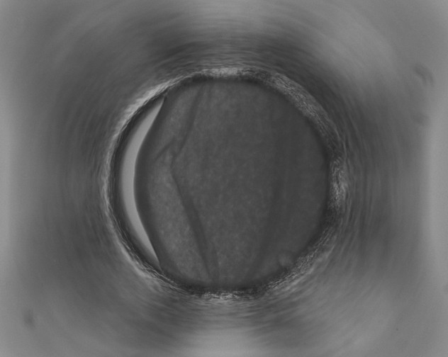 X0000111460728200908241319