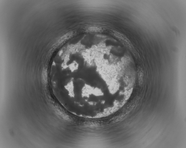 X0000111460729200908241319