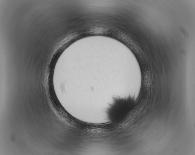 X0000111460730200908241319