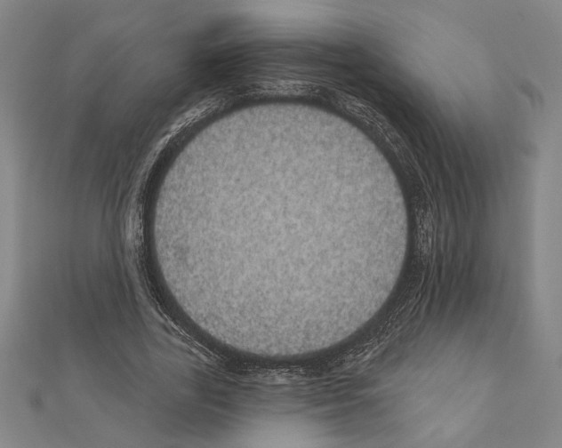 X0000111460731200908241319