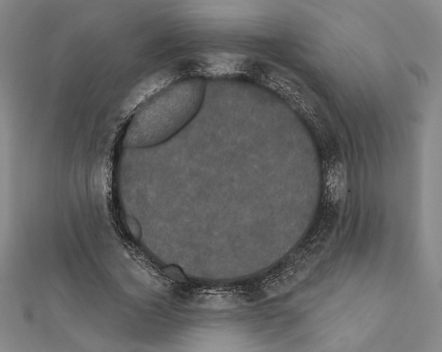 X0000111460732200908241319