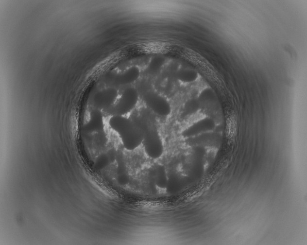 X0000111460733200908241319
