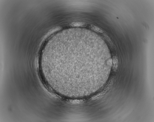 X0000111460734200908241319