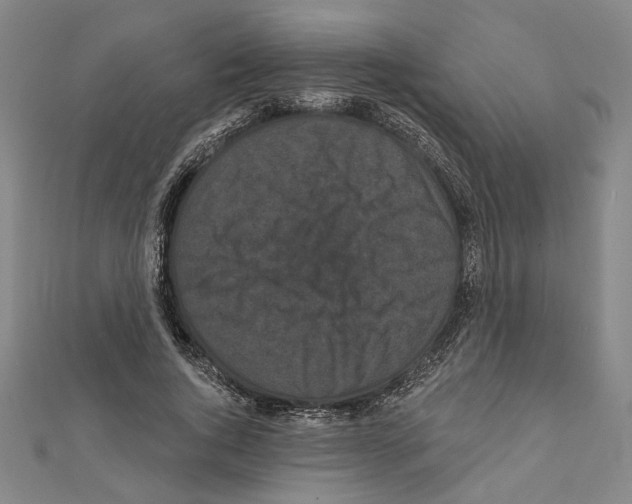 X0000111460736200908241319