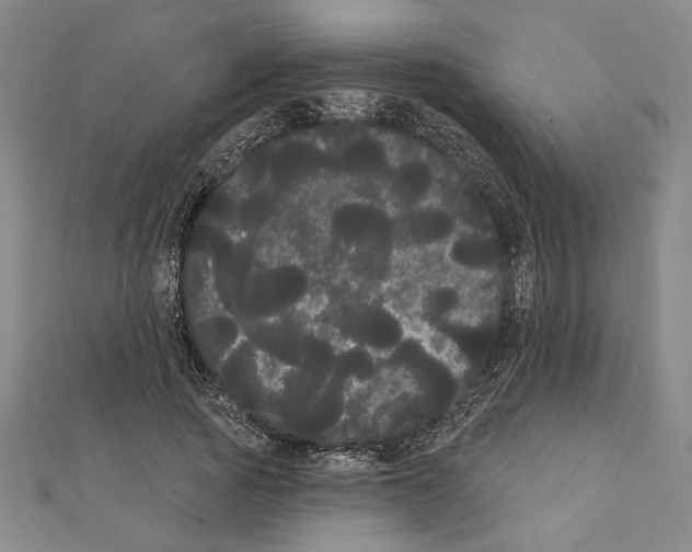 X0000111460737200908241319