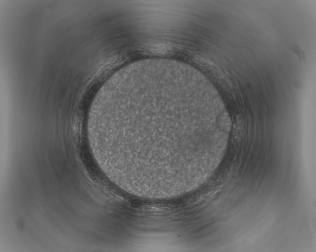 X0000111460739200908241319