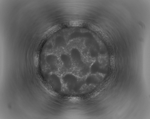 X0000111460741200908241319