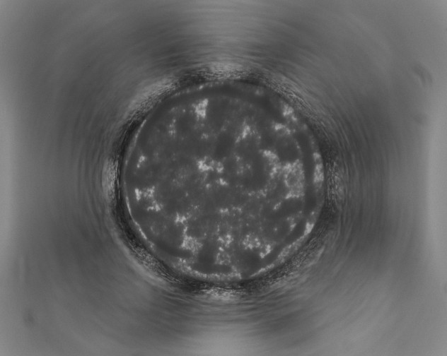 X0000111460742200908241319